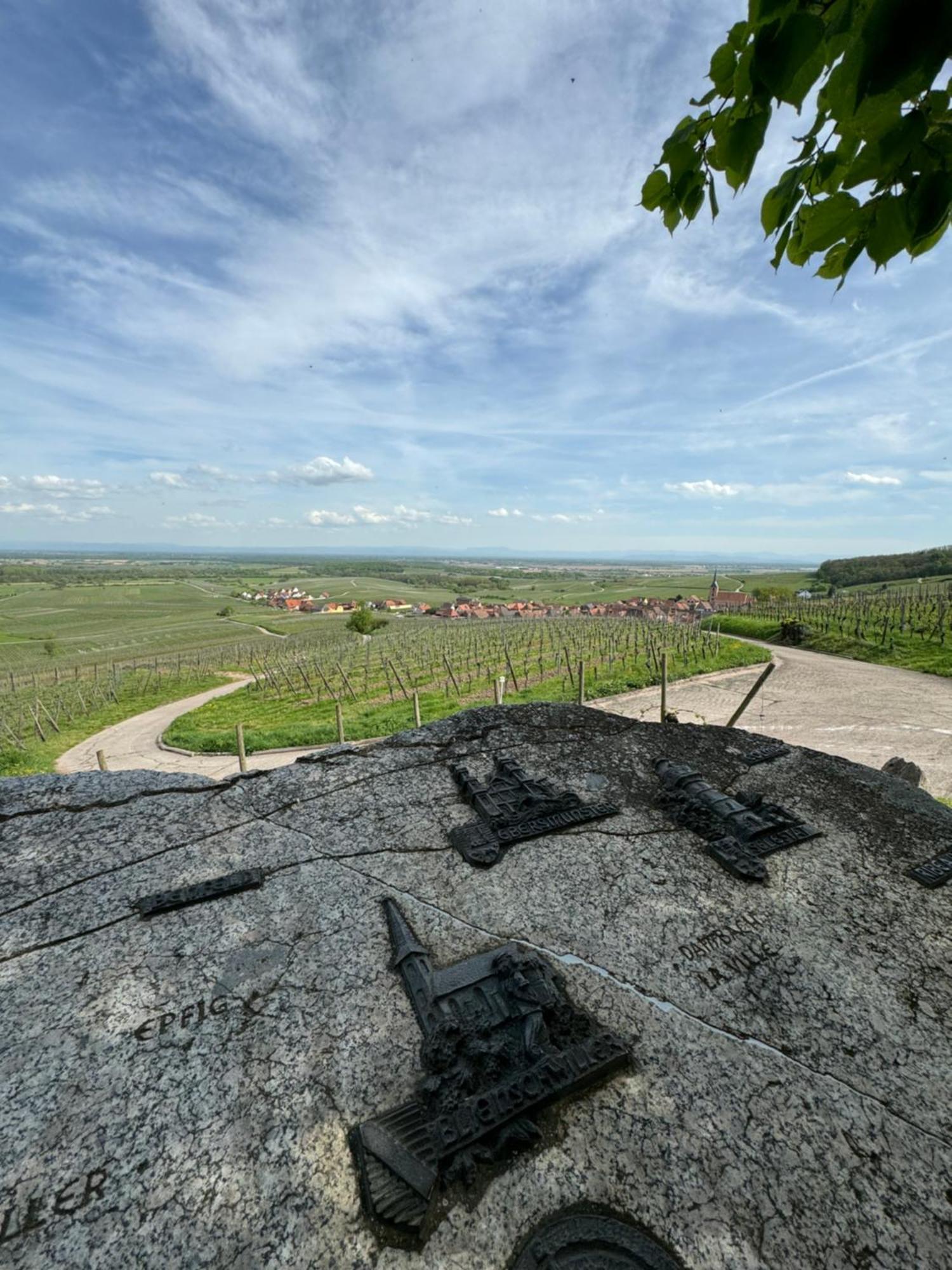La Terasse Des Vignes - Maison 2 Chambres - 4 Personnes Blienschwiller Buitenkant foto