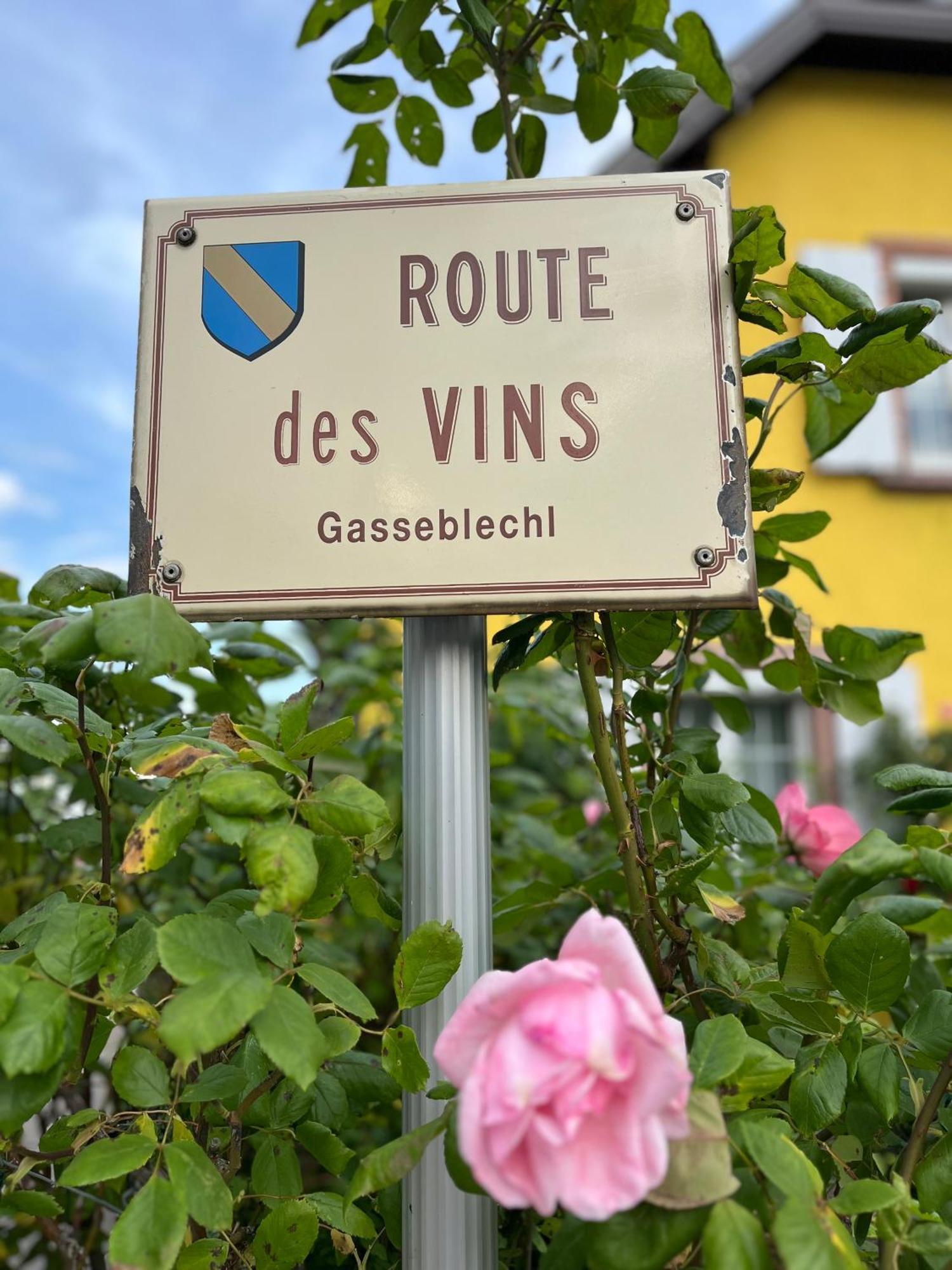 La Terasse Des Vignes - Maison 2 Chambres - 4 Personnes Blienschwiller Buitenkant foto