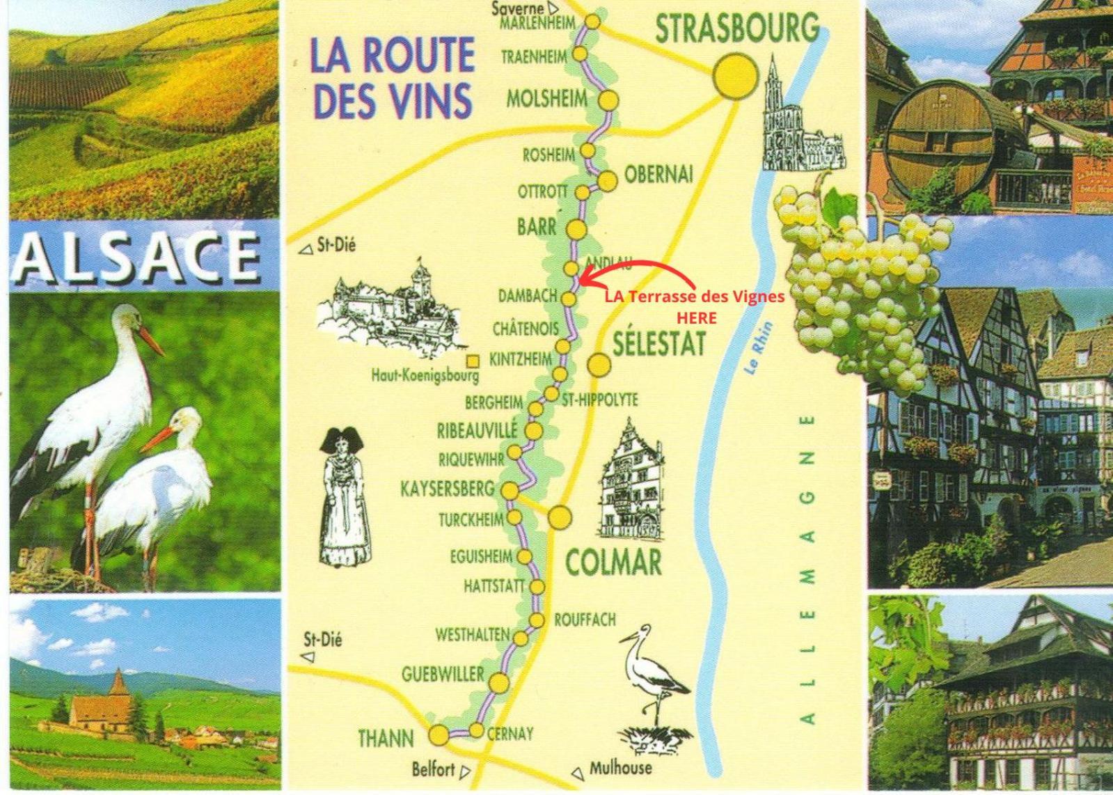 La Terasse Des Vignes - Maison 2 Chambres - 4 Personnes Blienschwiller Buitenkant foto